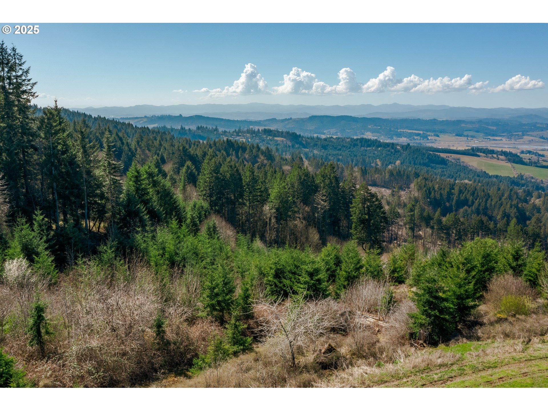 35963 Southwest Bald Peak Road Hillsboro, OR 97123 - Photo 14 of 14 a view of a lake in middle of green field