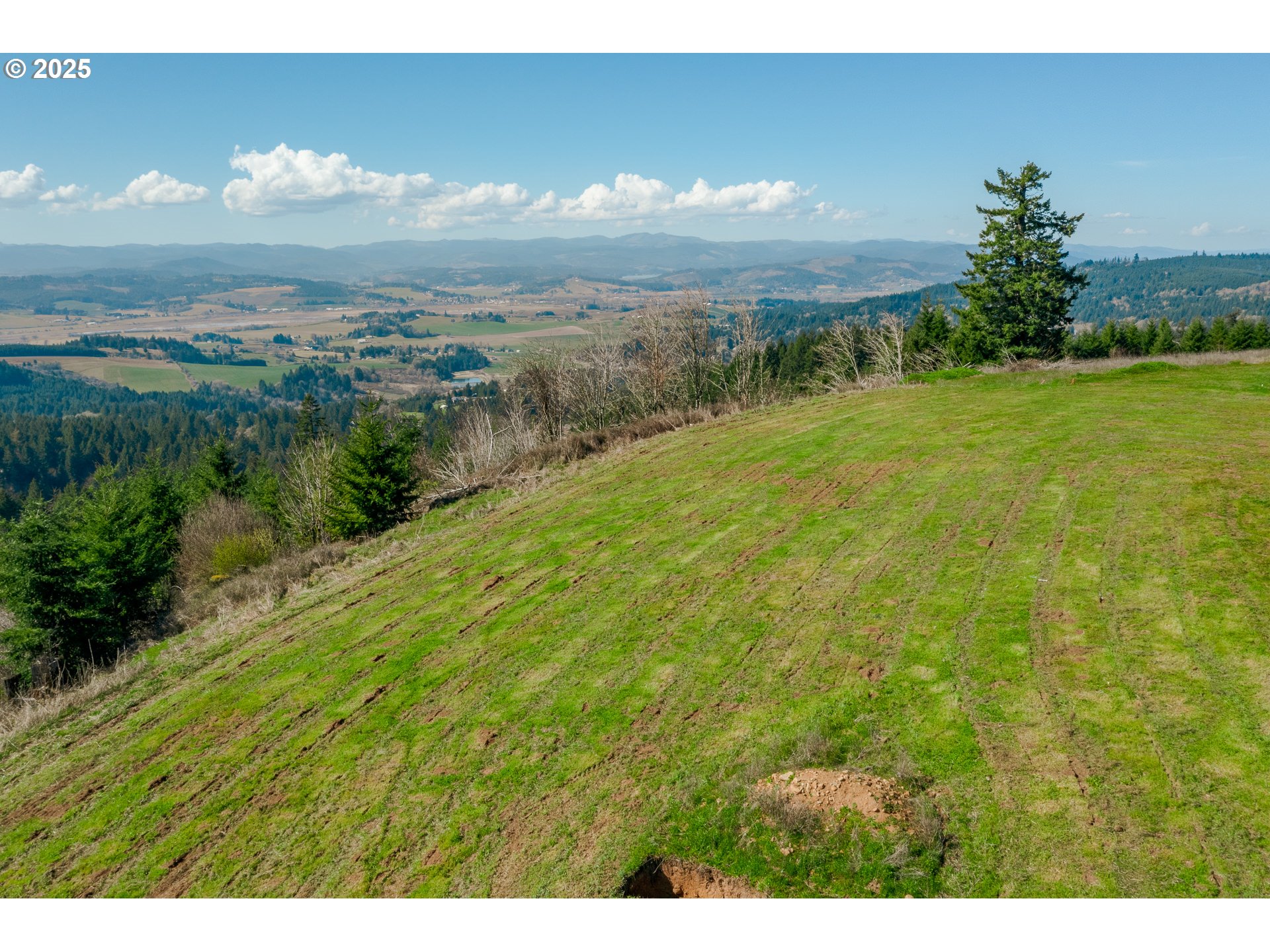 35963 Southwest Bald Peak Road Hillsboro, OR 97123 - Photo 2 of 14 a view of a lake with a yard