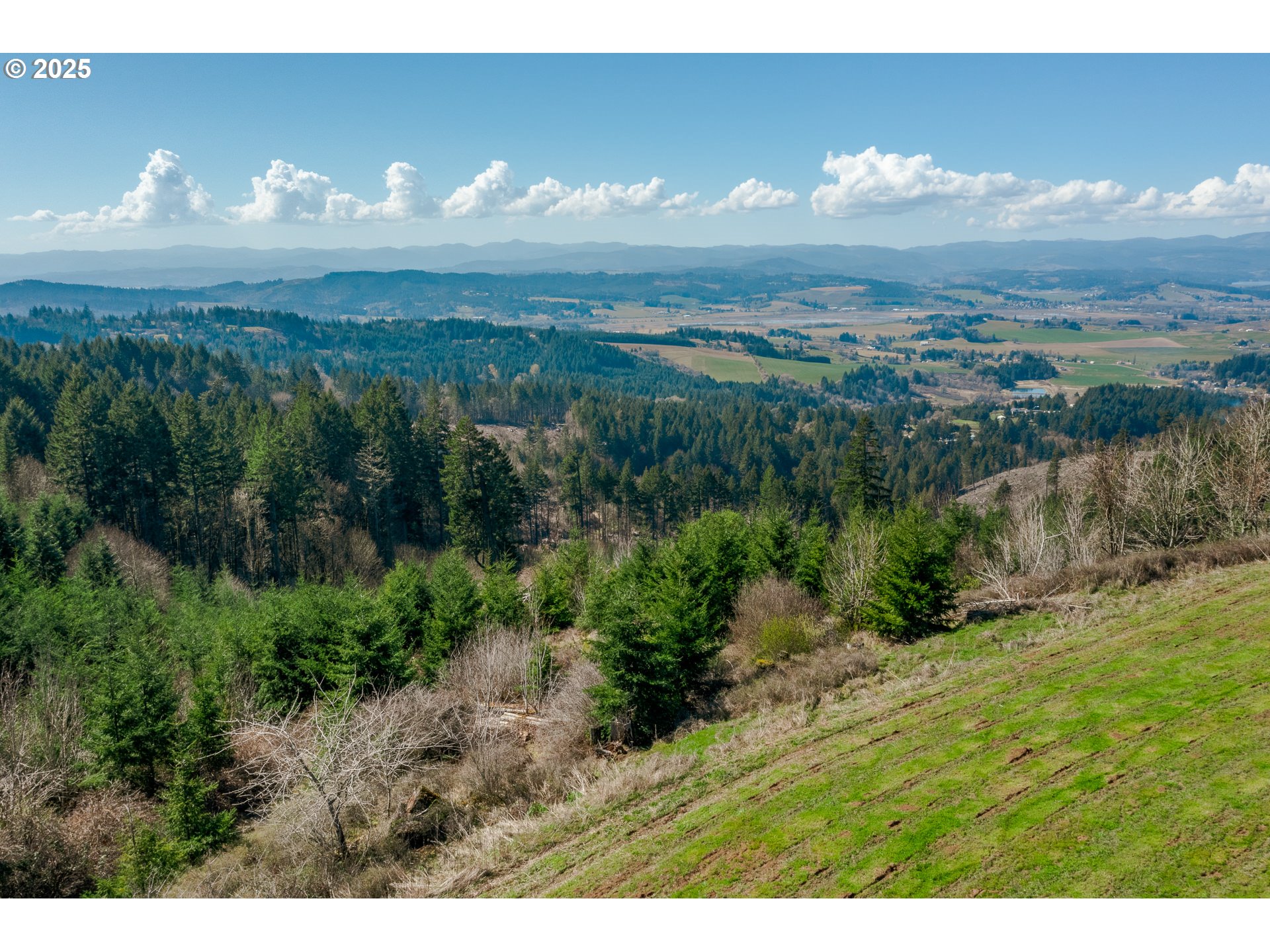 35963 Southwest Bald Peak Road Hillsboro, OR 97123 - Photo 7 of 14 a view of a lake in middle of green field