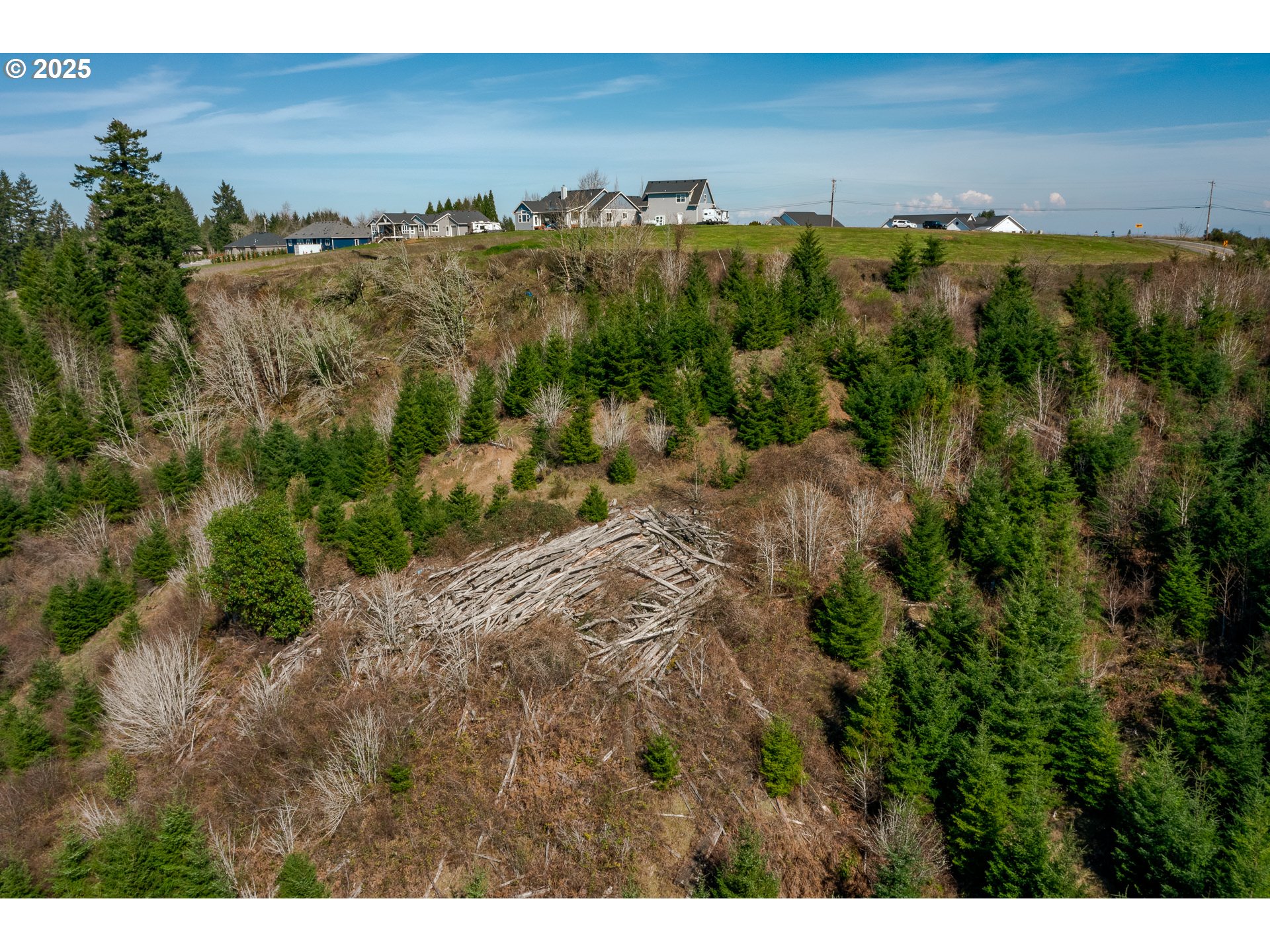 35963 Southwest Bald Peak Road Hillsboro, OR 97123 - Photo 9 of 14 a view of a city