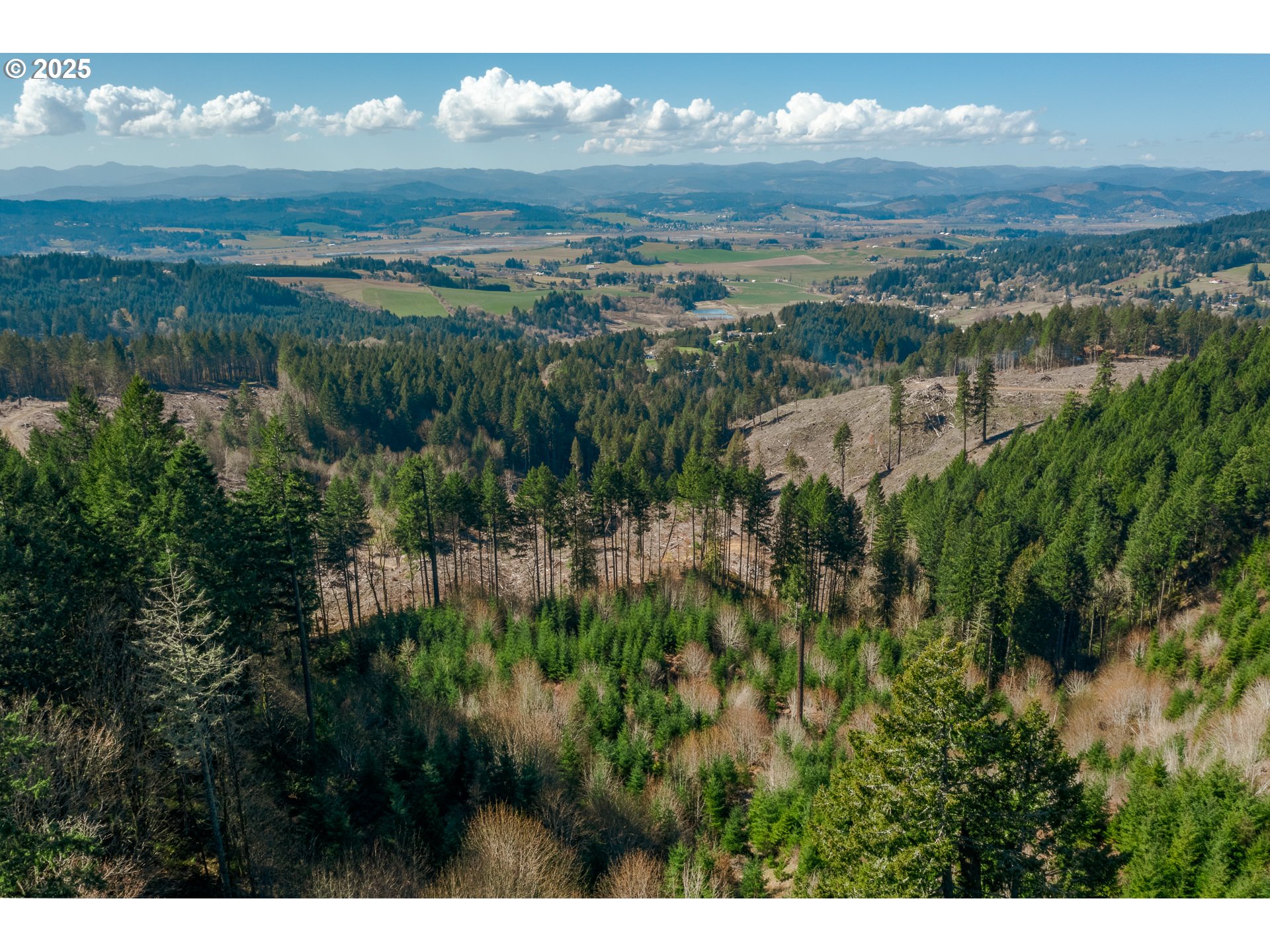 35963 Southwest Bald Peak Road Hillsboro, OR 97123 - Photo 10 of 14 a view of city and river