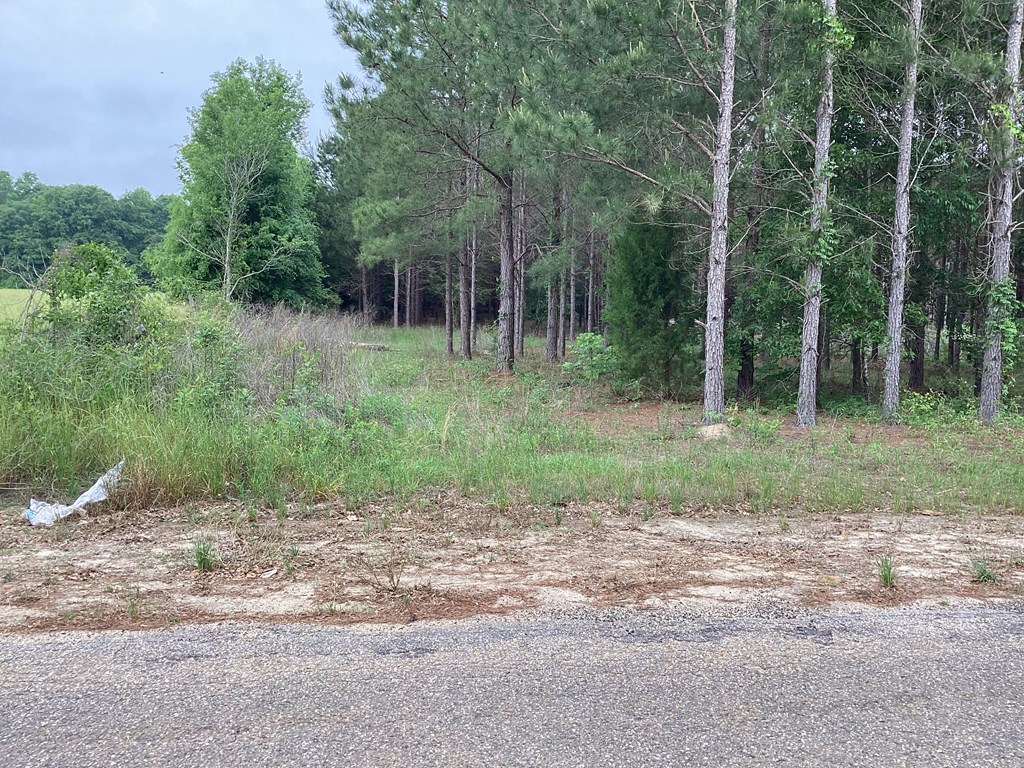 1290 Guy Branch Road Cottonwood, AL 36320 - Photo 6 of 20