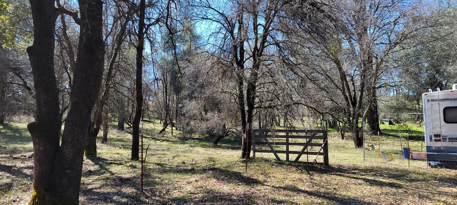 28010 Rancheria Crk Road Shingletown, CA 96088 - Photo 6 of 26 20230330_122553