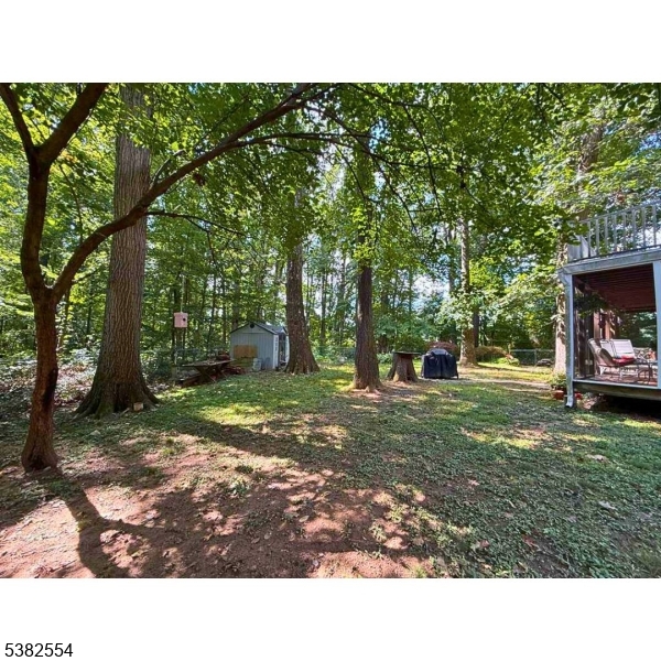 1036 Potts Mill Road Bordentown, NJ 08505 - Photo 36 of 48 a black and white photo of a park