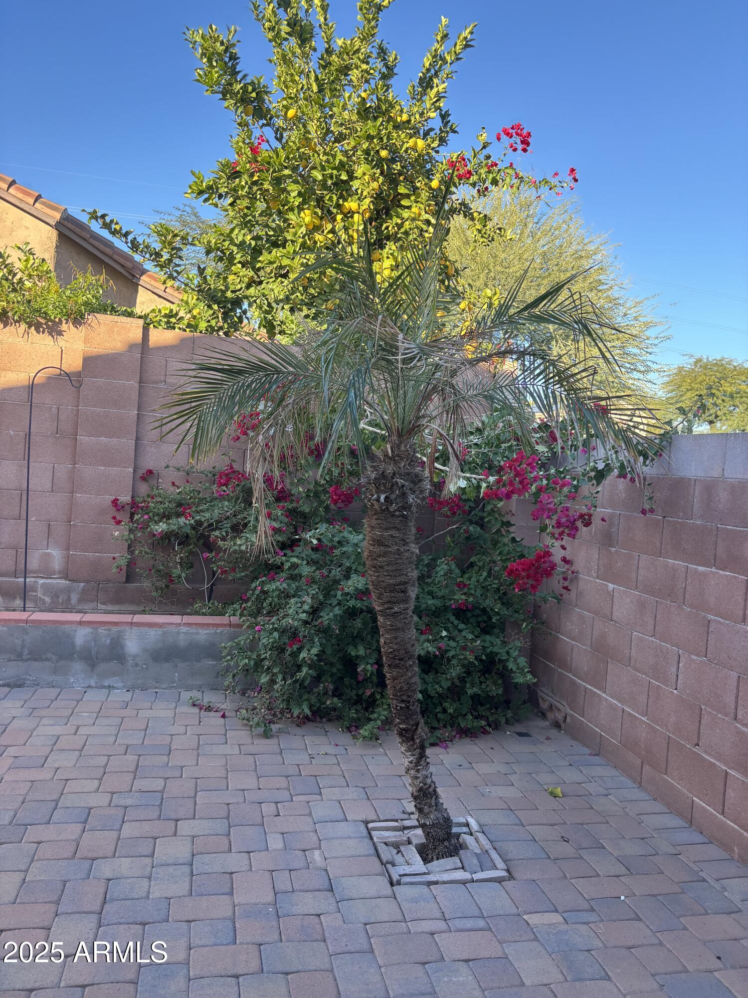 2221 East Union Hills Drive, Unit 165 Phoenix, AZ 85024 - Photo 26 of 33 a view of a pathway in a yard