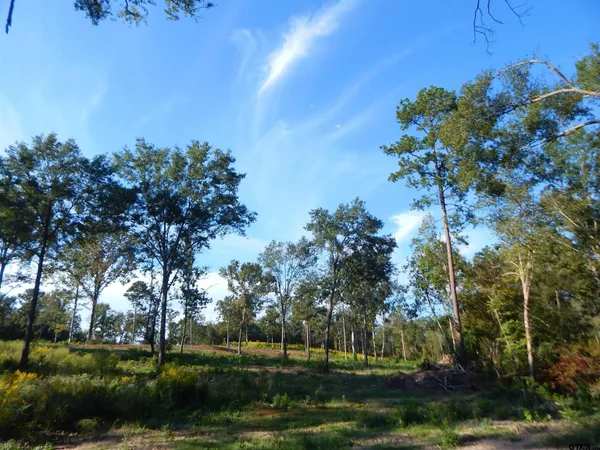 $149,900 | 7.57 Acres Highway, Ore City, TX 75683