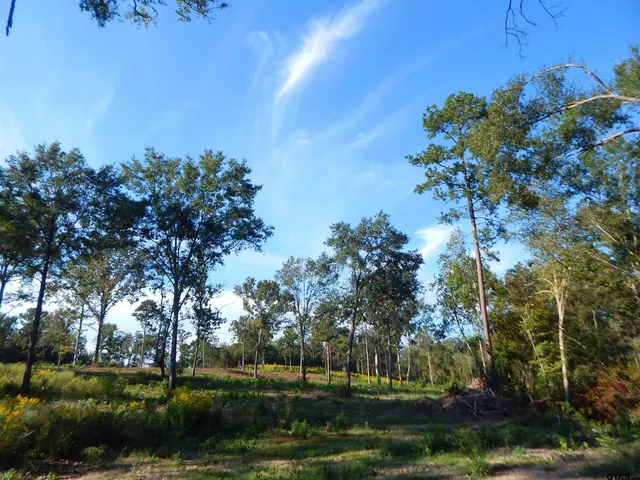 front view of a house with a garden