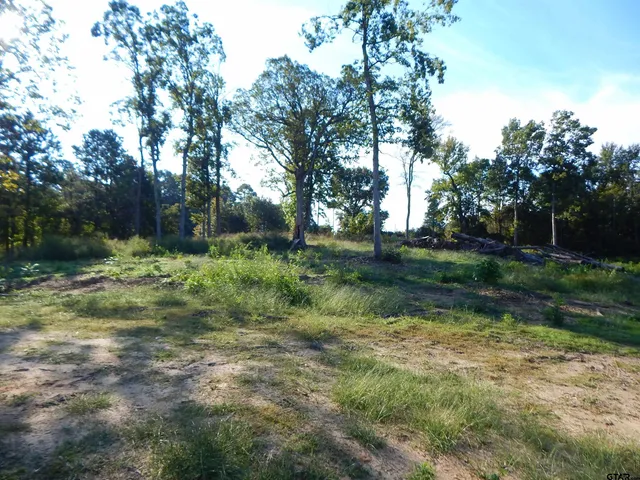 a view of outdoor space with green field and trees all around