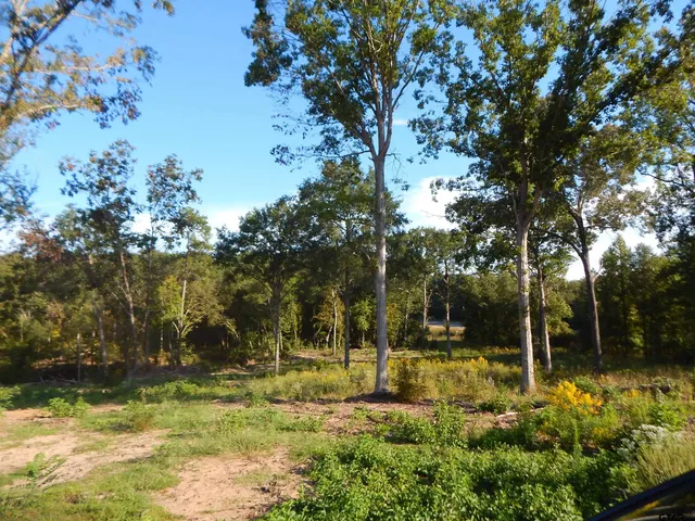 a backyard of a house with lots of green space