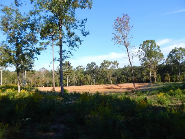 a view of an outdoor space and yard