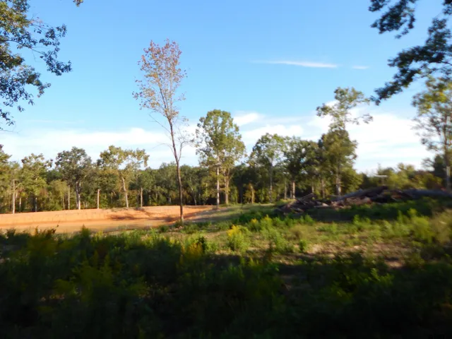 a view of a lake with houses
