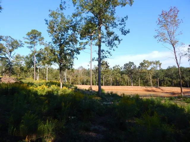 a view of big yard with green space