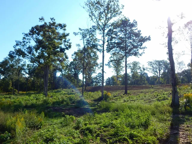 a view of a backyard of a house