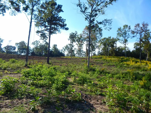 a view of outdoor space with a lake view