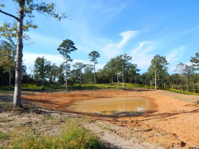 a view of a backyard of a house