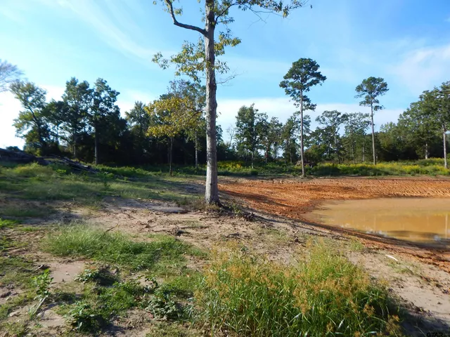 a view of a yard with basketball court