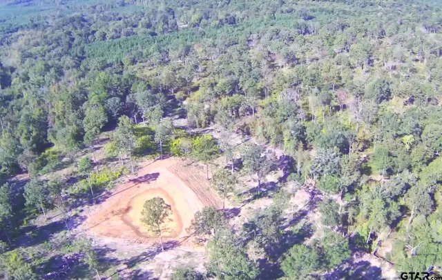 a view of a wooden floor with a tree