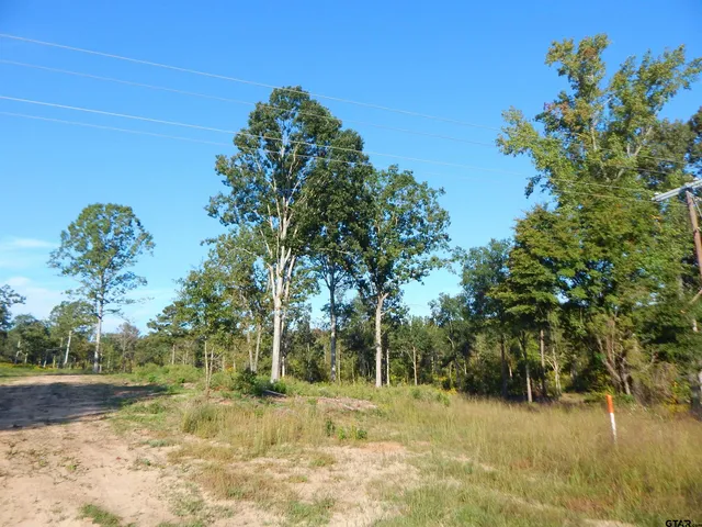 a view of a yard with plants and trees