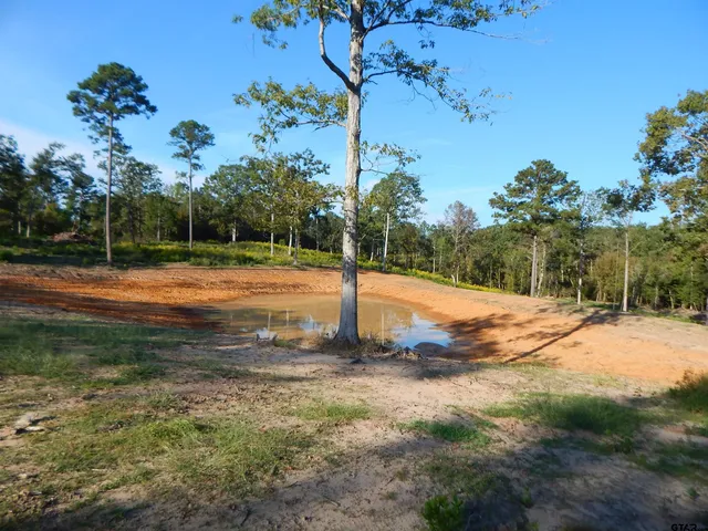 a view of a basketball court