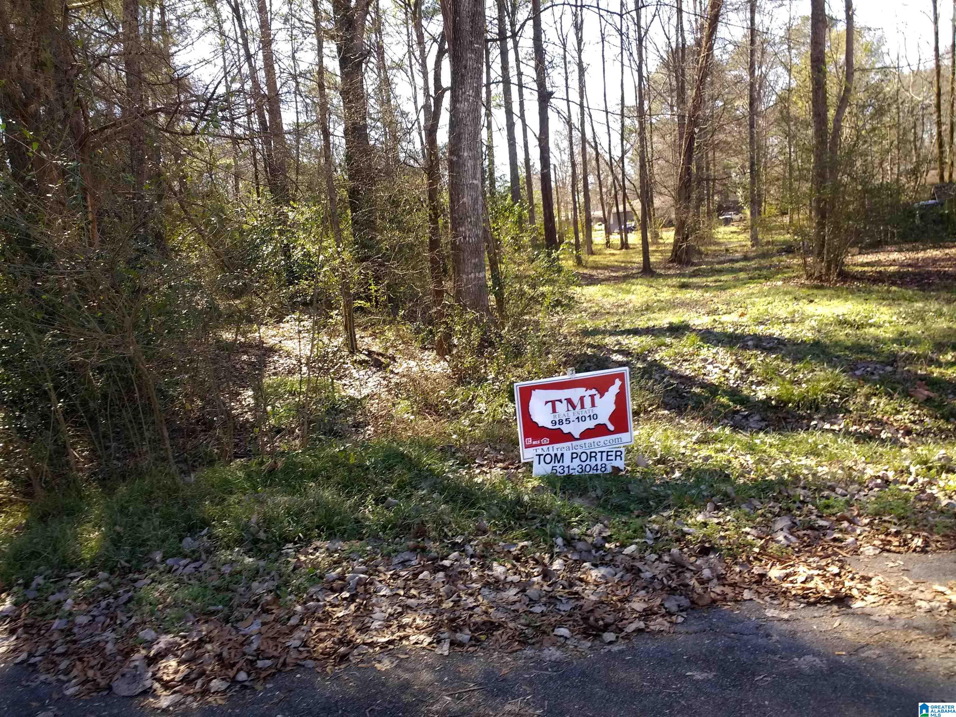 Lot 2 Deborah Drive, Unit 2 Jemison, AL 35085 - Photo 3 of 15