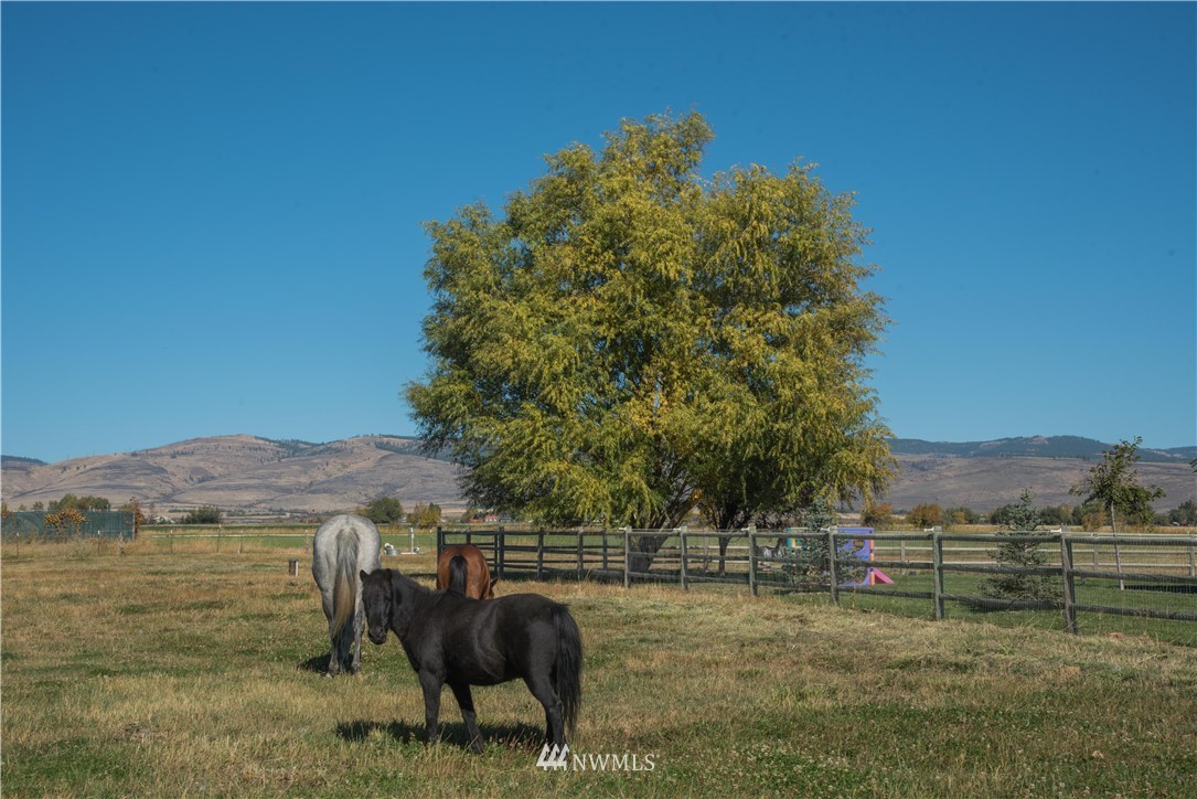 5612 Naneum Road Ellensburg, WA 98926 - Photo 28 of 34 Gallery Image 28