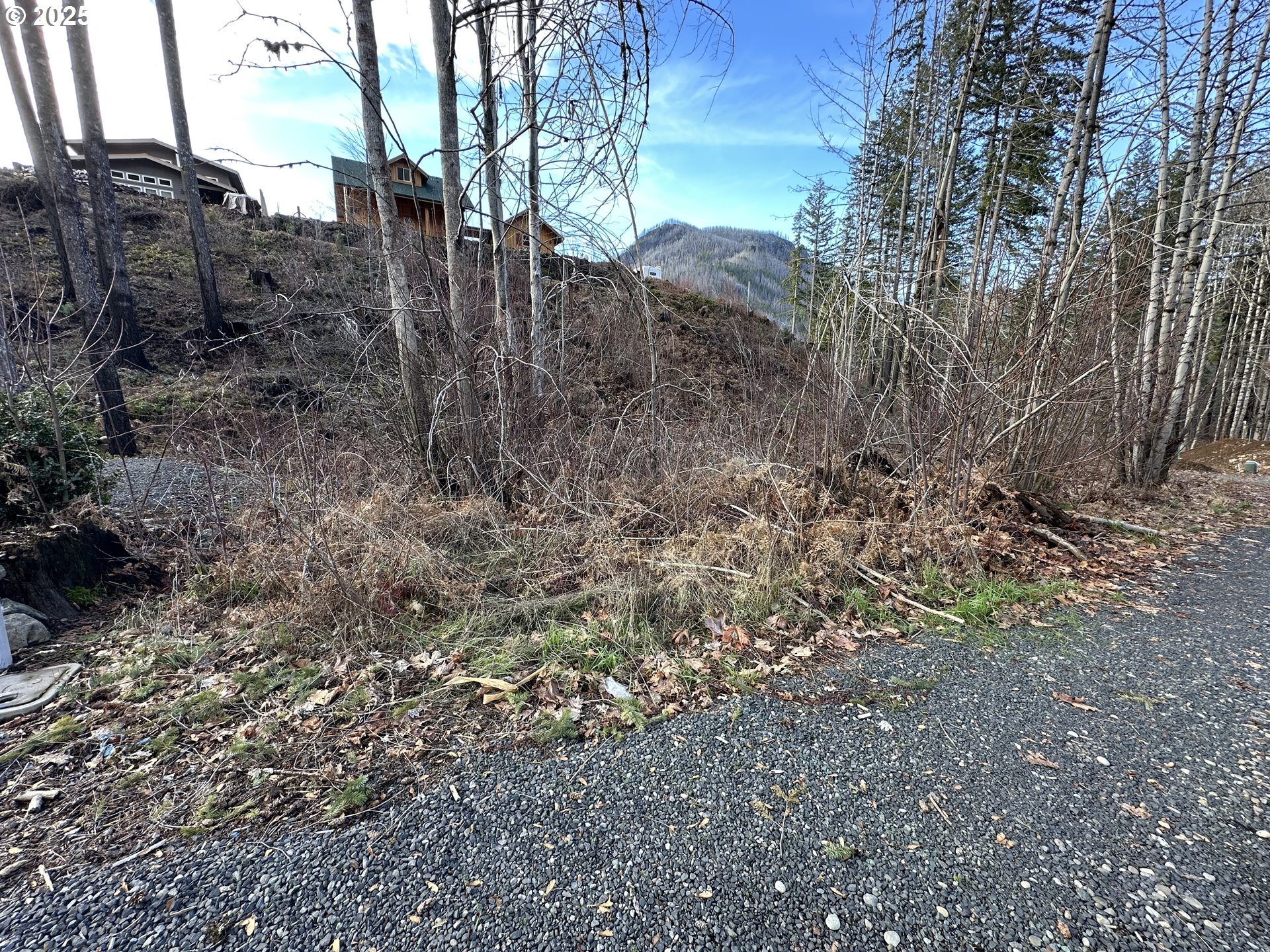 315 Boulder Street Detroit, OR 97342 - Photo 2 of 4