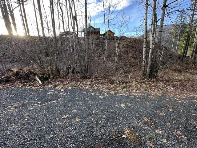 $60,000 | 315 Boulder Street, Detroit, OR 97342