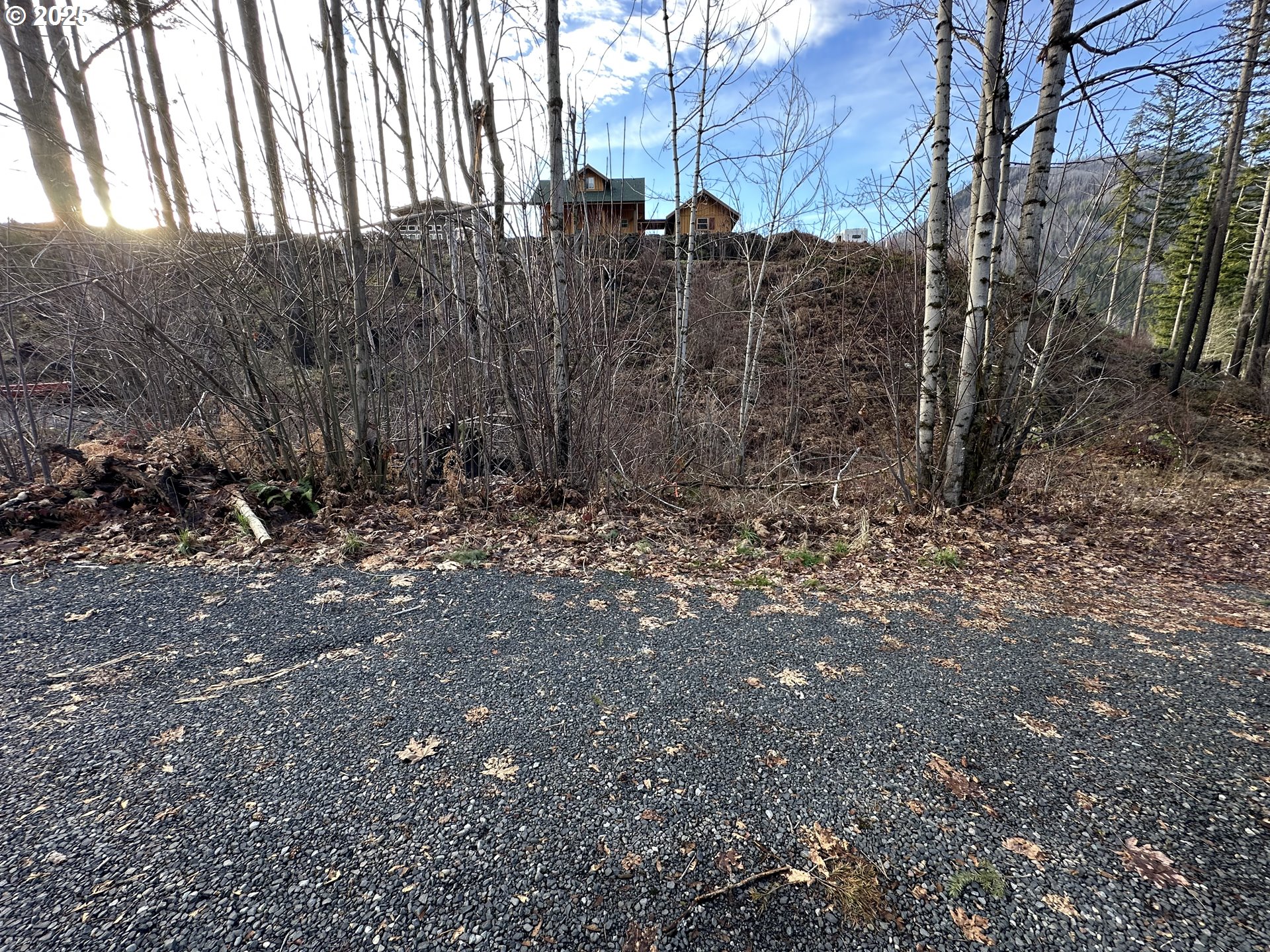 315 Boulder Street Detroit, OR 97342 - Photo 3 of 4