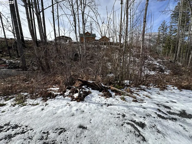 $60,000 | 315 Boulder Street, Detroit, OR 97342