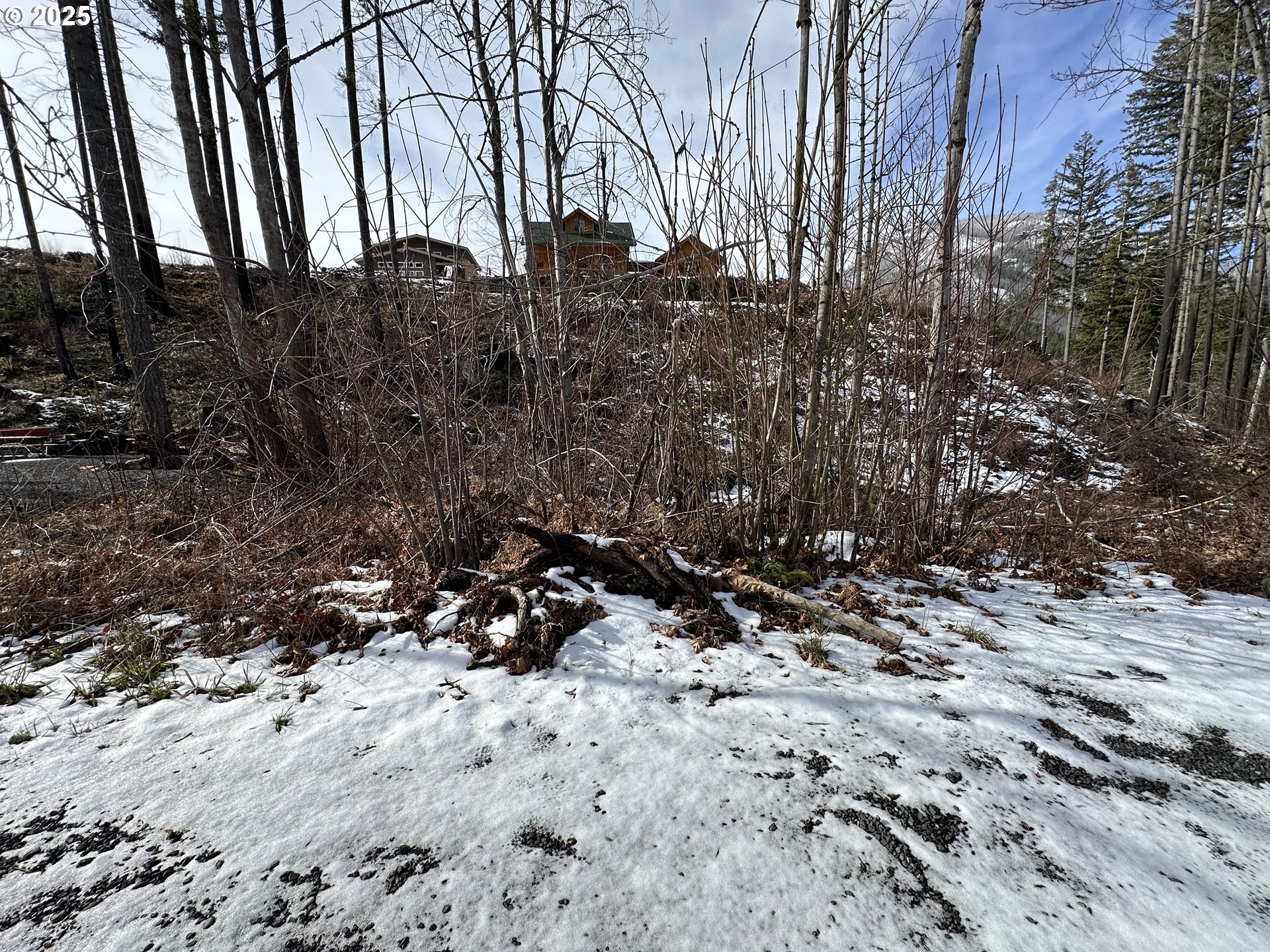 315 Boulder Street Detroit, OR 97342 - Photo 4 of 4