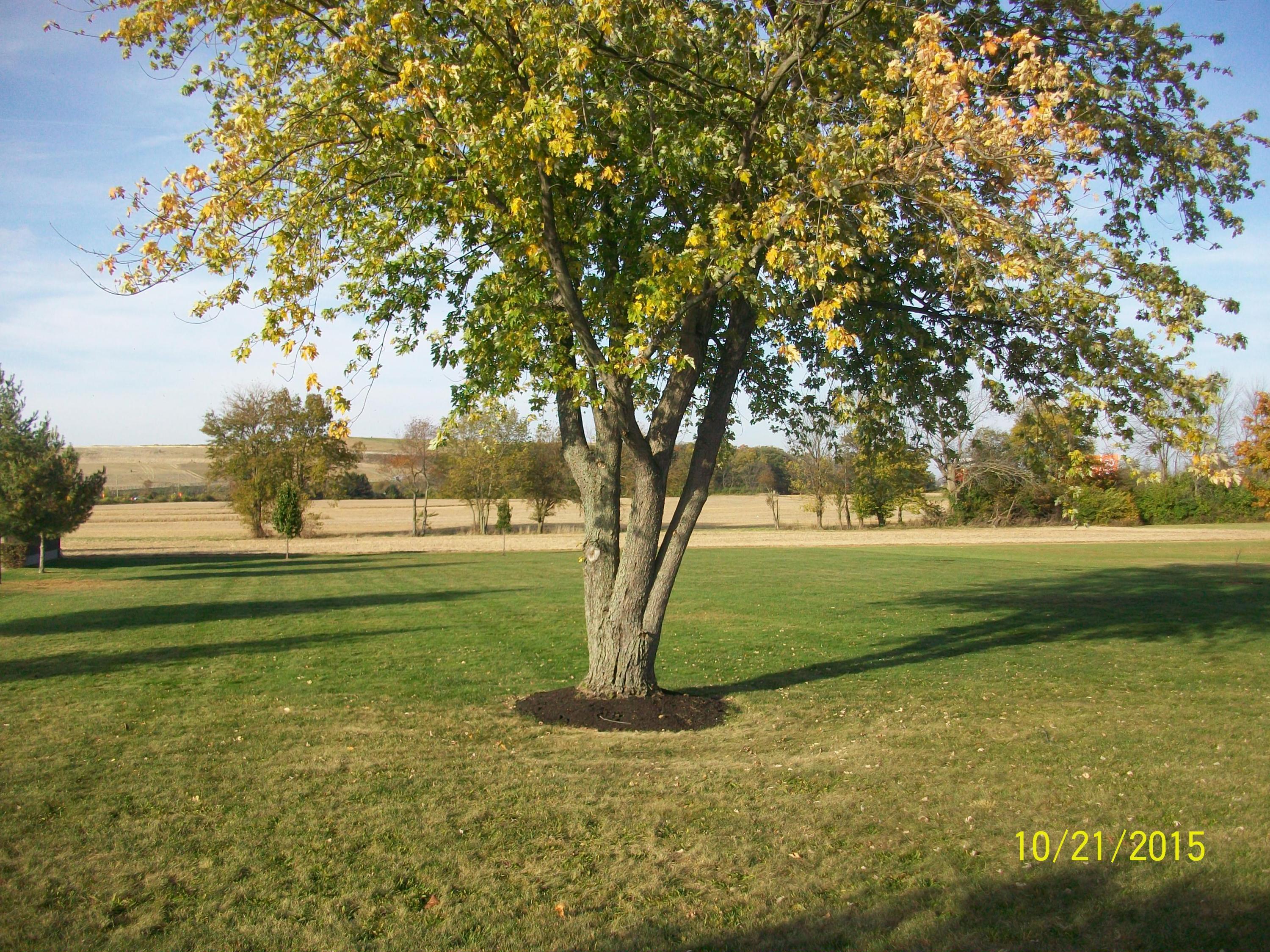 3718 Zuber Road Orient, OH 43146 - Photo 7 of 8 Gallery Image 7