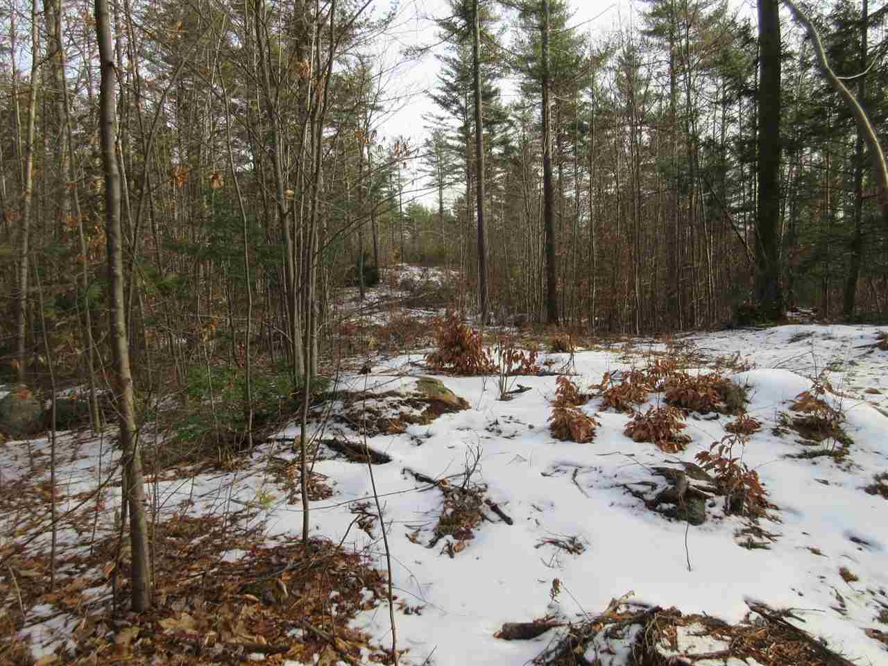 0 Nh Route 47 Road Francestown, NH 03043 - Photo 13 of 18 Gallery Image 13