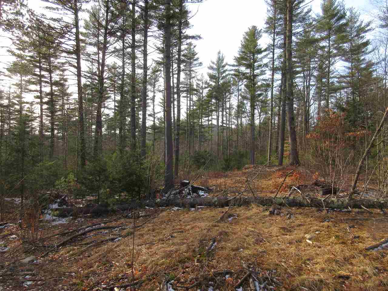 0 Nh Route 47 Road Francestown, NH 03043 - Photo 15 of 18 Gallery Image 15