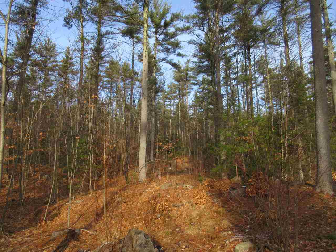 0 Nh Route 47 Road Francestown, NH 03043 - Photo 9 of 18 Gallery Image 9