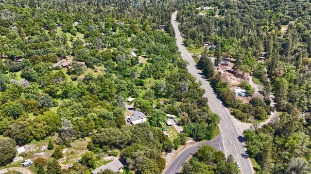 a view of a lush green forest