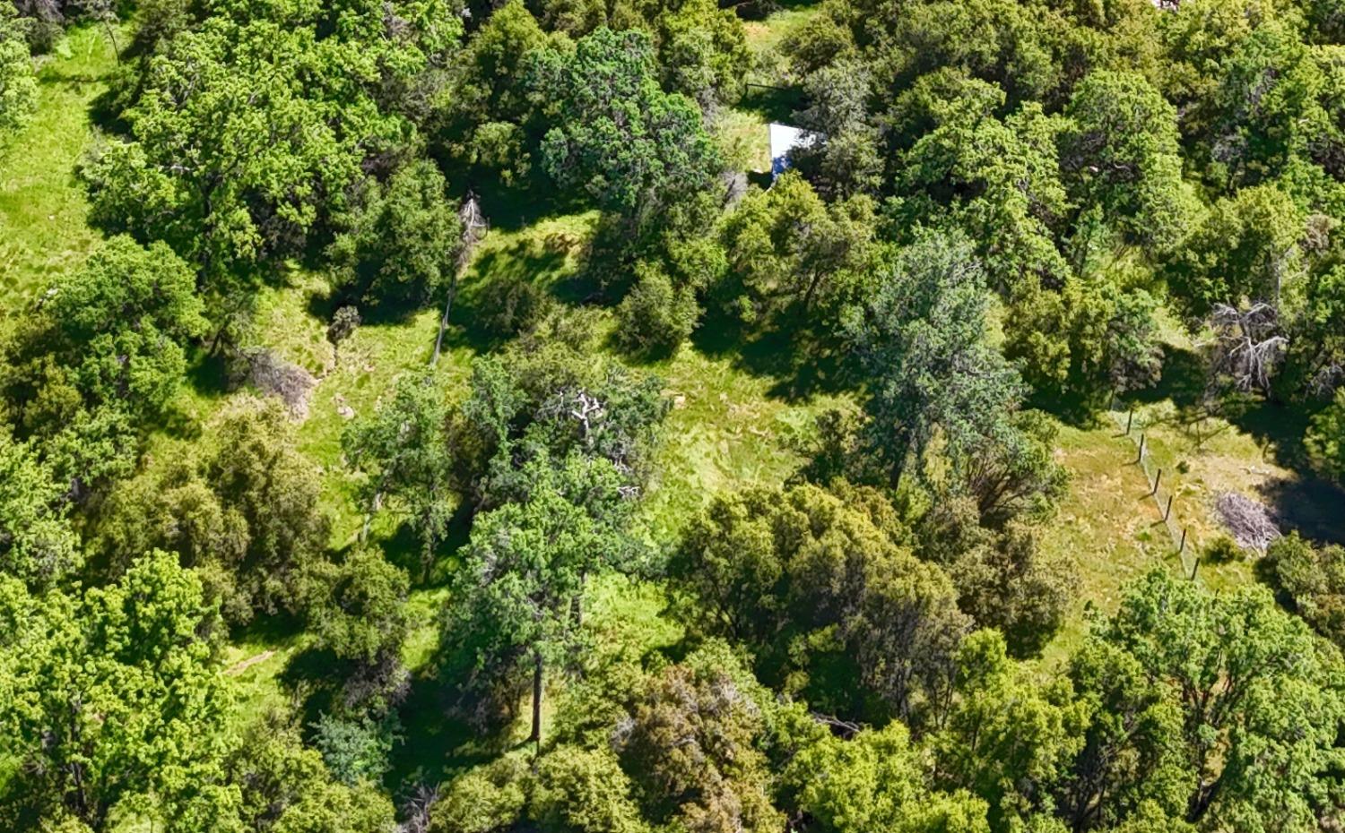 42275 Buckeye Road Oakhurst, CA 93644 - Photo 39 of 53