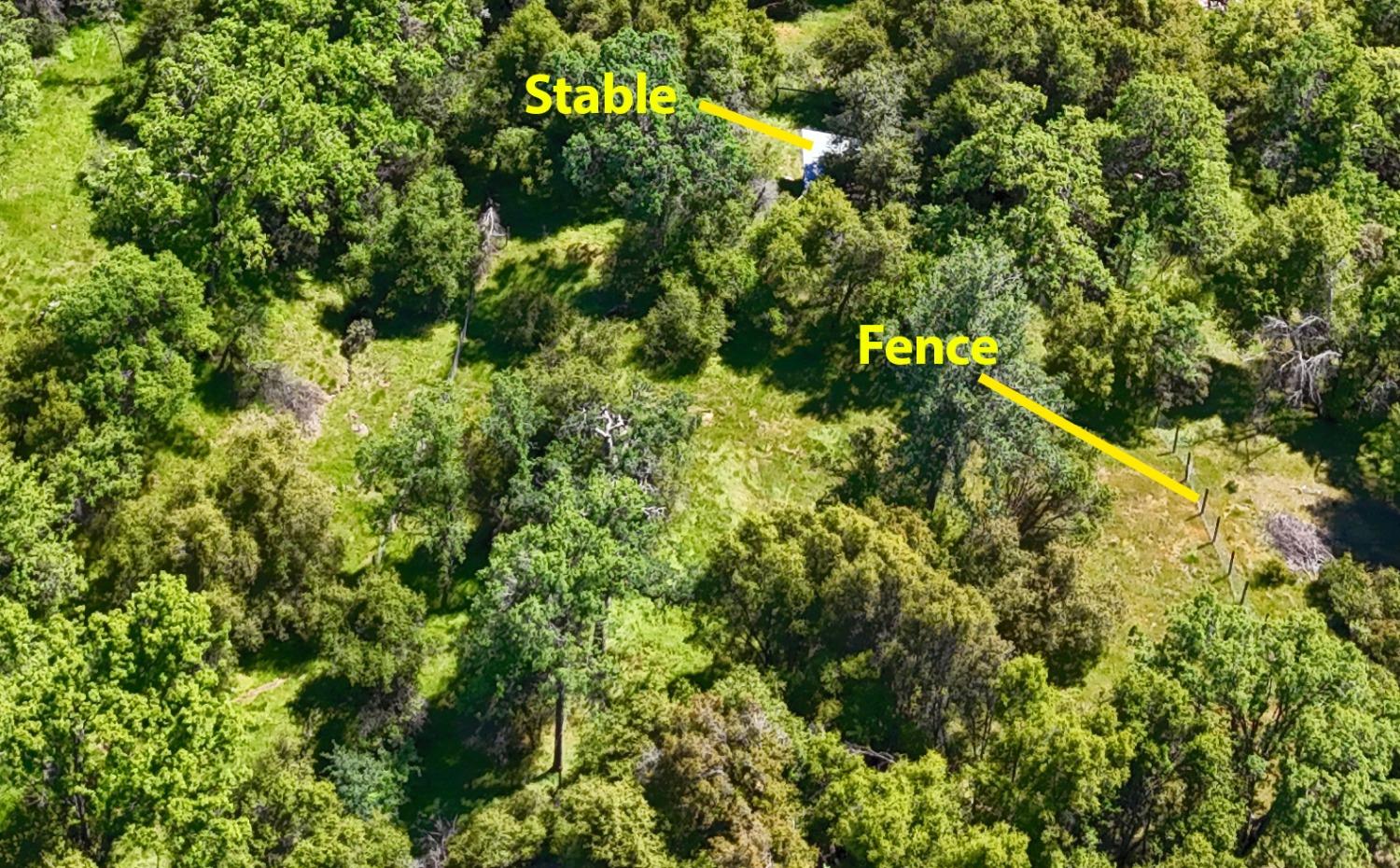 42275 Buckeye Road Oakhurst, CA 93644 - Photo 40 of 53