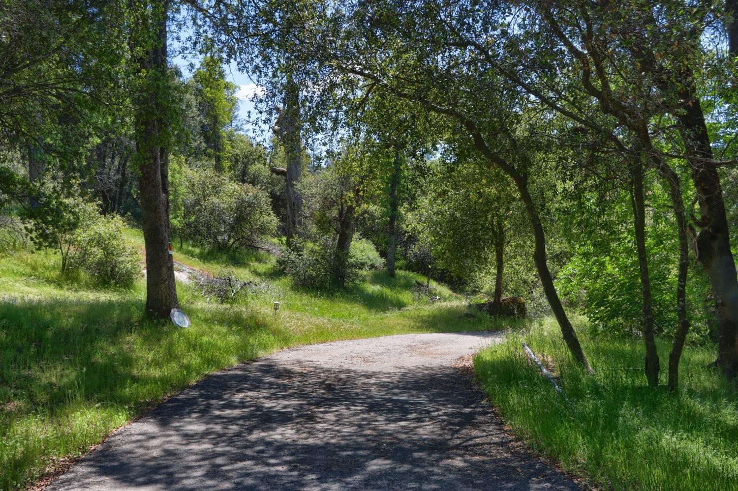 42275 Buckeye Road Oakhurst, CA 93644 - Photo 46 of 53