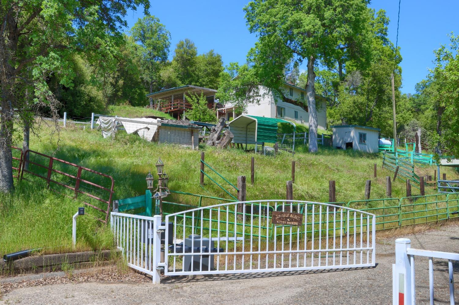 42275 Buckeye Road Oakhurst, CA 93644 - Photo 49 of 53