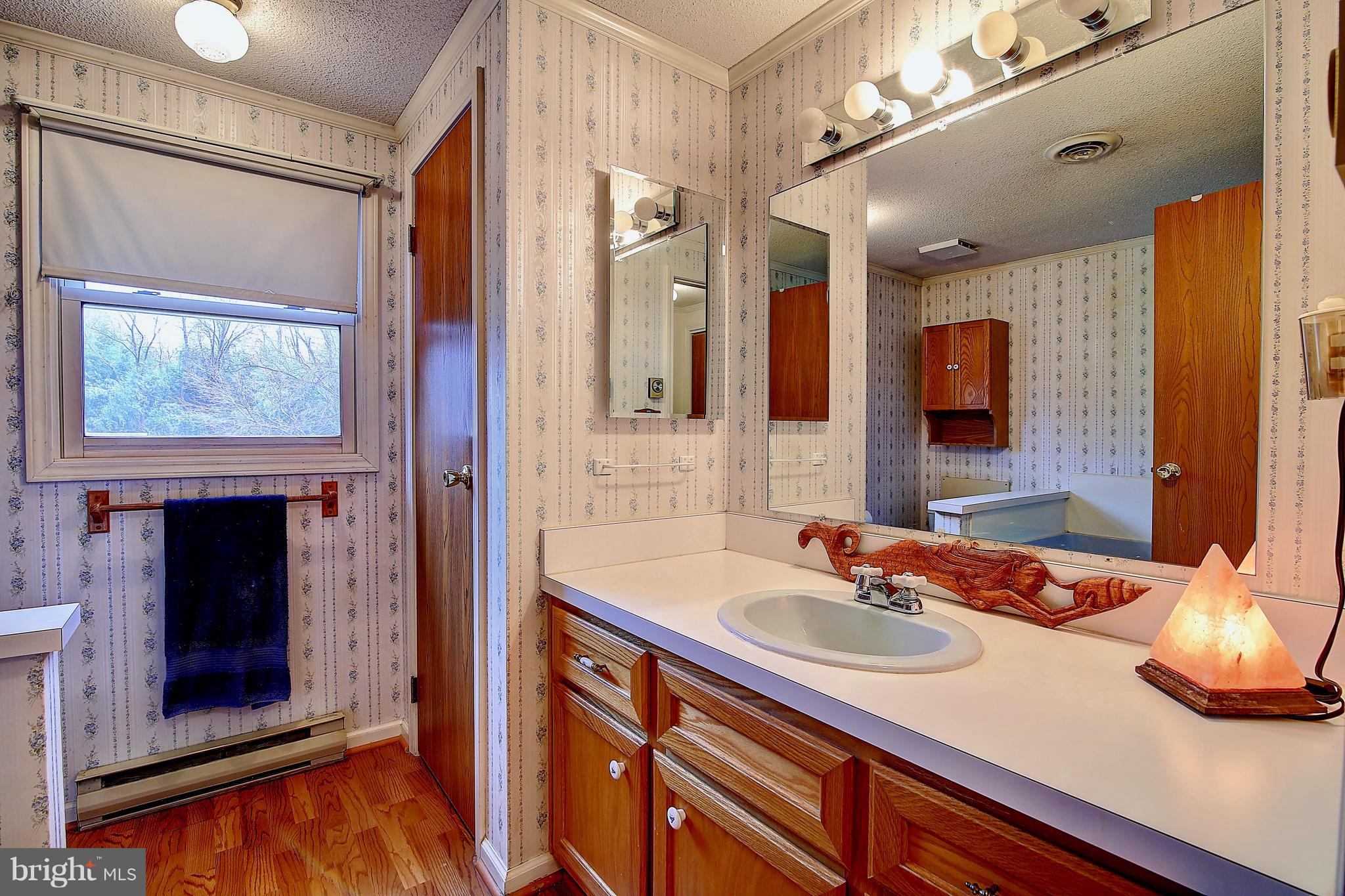 6504 Fish Hatchery Road Thurmont, MD 21788 - Photo 17 of 29 Master Bathroom