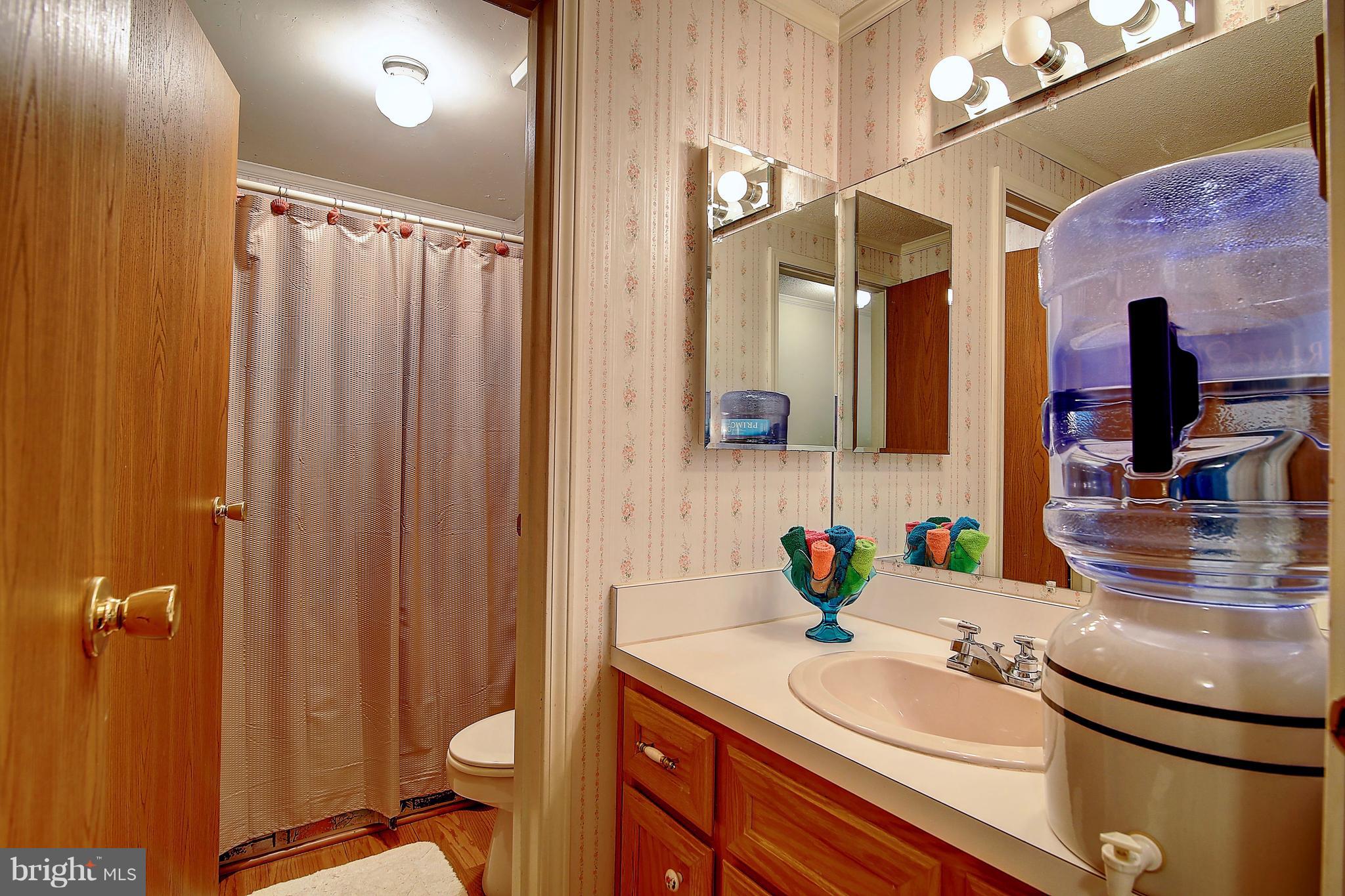 6504 Fish Hatchery Road Thurmont, MD 21788 - Photo 20 of 29 Upper Level Bathroom