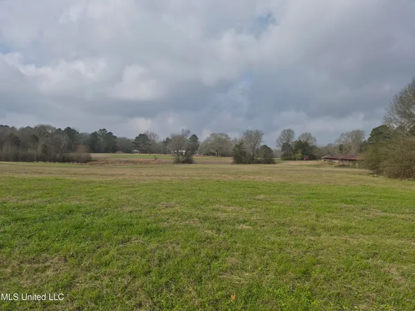 $250,000 | Pine Grove Road, Walnut Grove, MS 39189