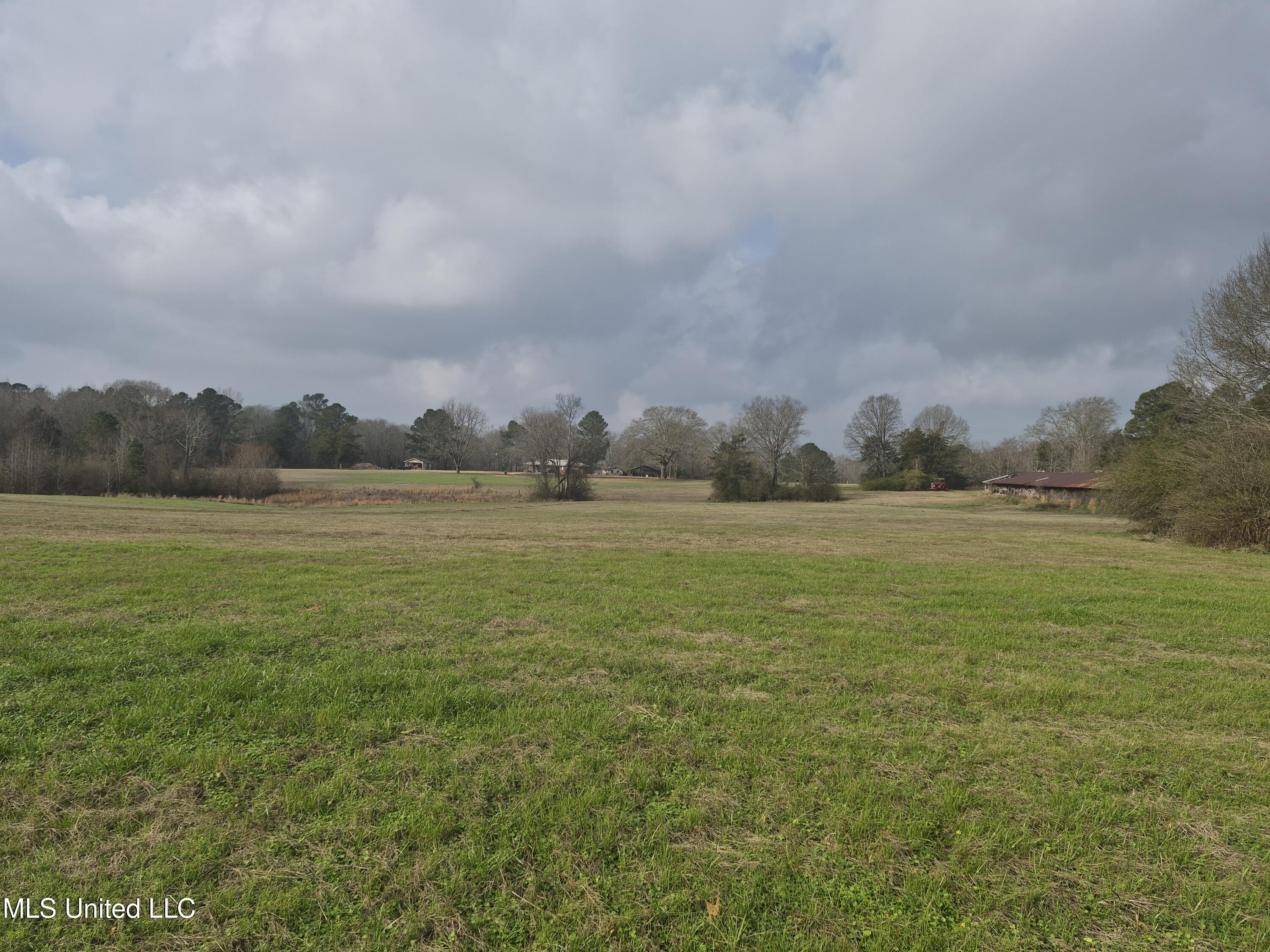 Pine Grove Road Walnut Grove, MS 39189 - Photo 1 of 9 7712