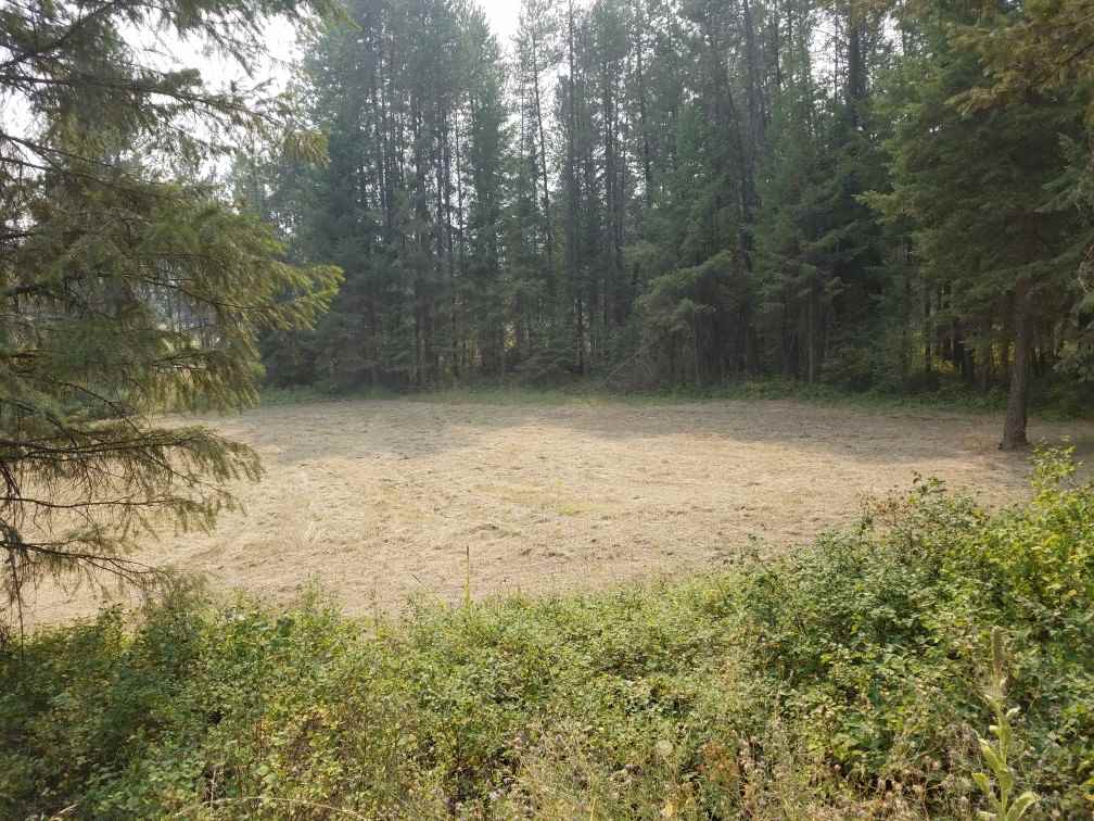 4056 Lumberg Road Springdale, WA 99173 - Photo 11 of 13
