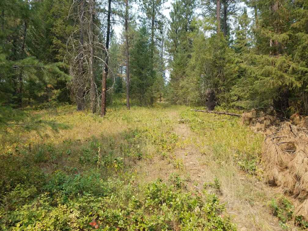 4056 Lumberg Road Springdale, WA 99173 - Photo 10 of 13