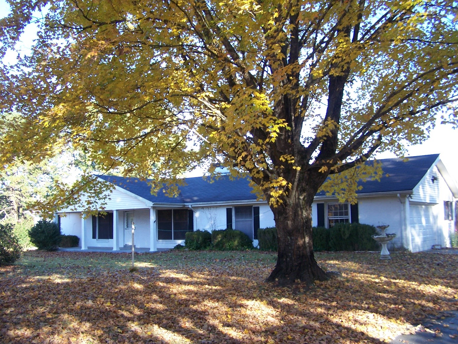 85 Horseshoe Bend Road Leoma, TN 38468 - Photo 1 of 37 Gallery Image 1