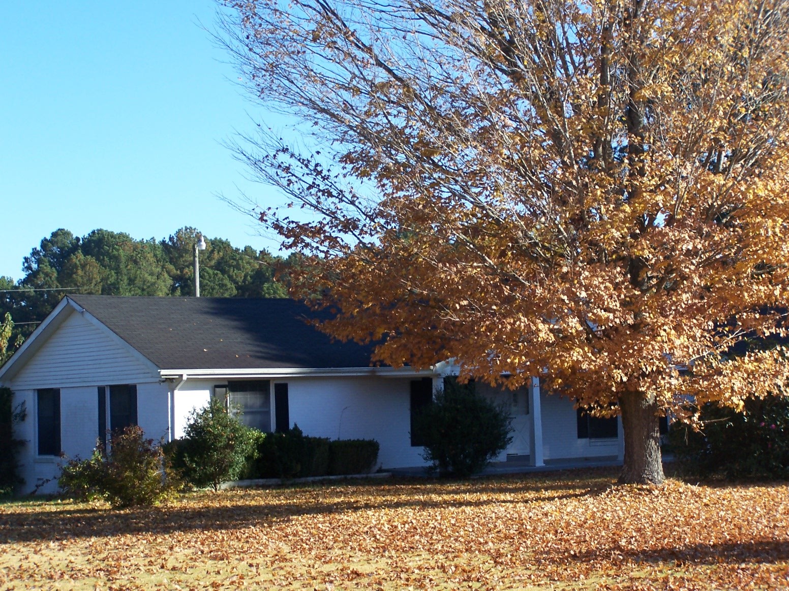 85 Horseshoe Bend Road Leoma, TN 38468 - Photo 2 of 37 Gallery Image 2