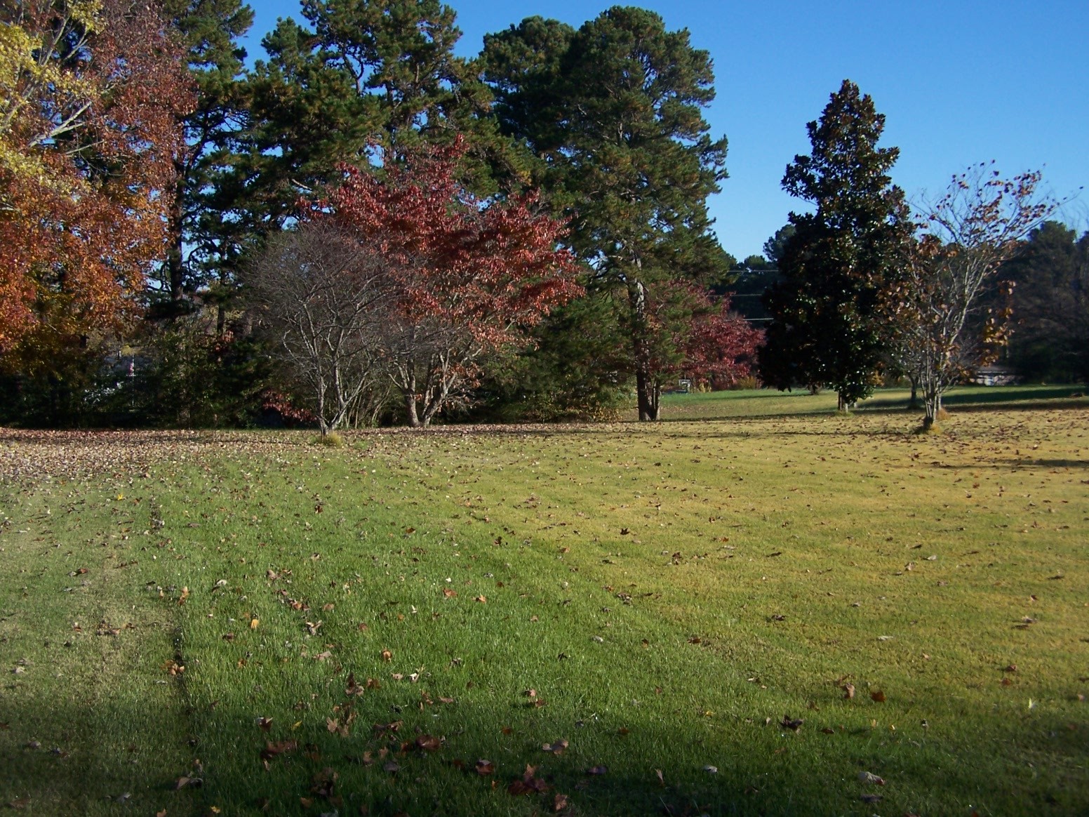 85 Horseshoe Bend Road Leoma, TN 38468 - Photo 35 of 37 Gallery Image 35