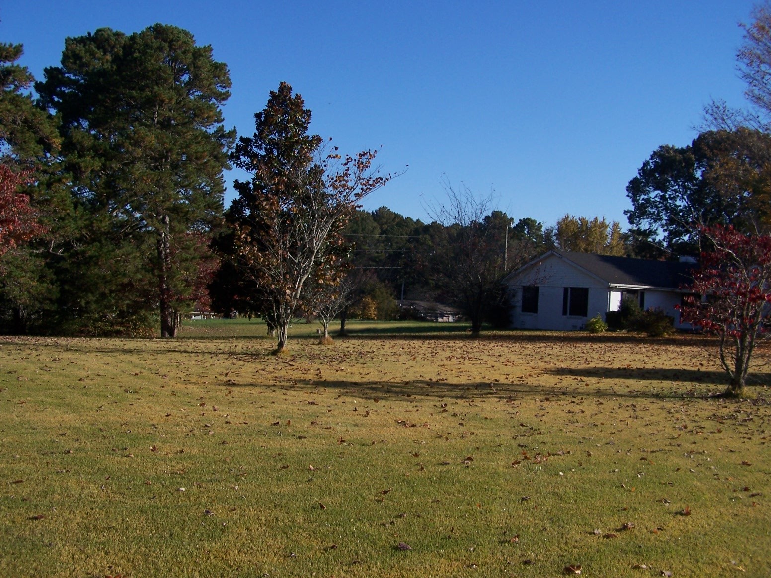 85 Horseshoe Bend Road Leoma, TN 38468 - Photo 36 of 37 Gallery Image 36