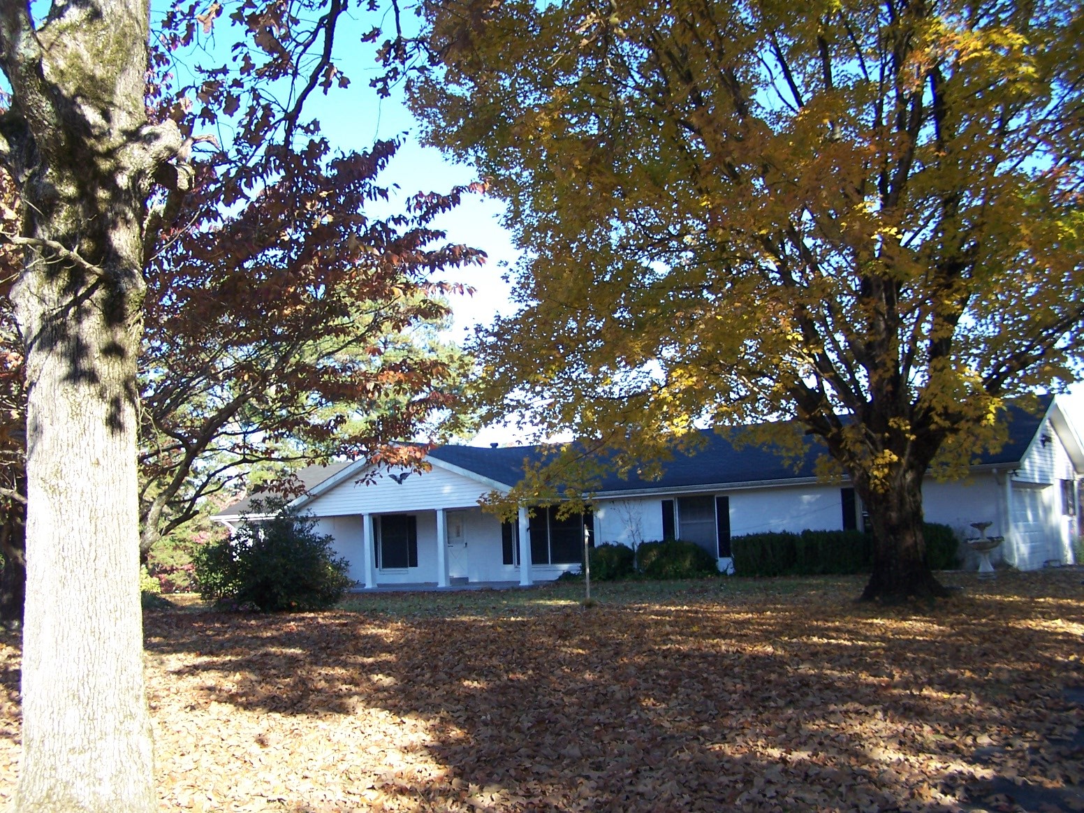 85 Horseshoe Bend Road Leoma, TN 38468 - Photo 5 of 37 Gallery Image 5